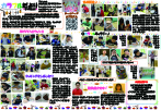 カラフルだより2019年11月