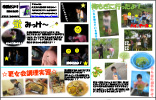 園だより2019年7月
