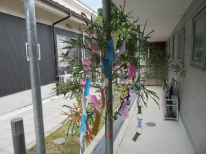 IMG_1577