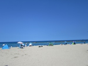 IMG_3129