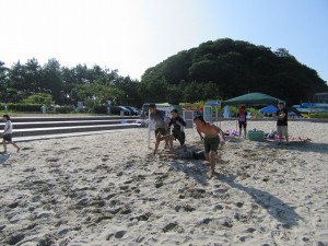 IMG_3175