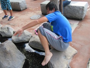 IMG_3257