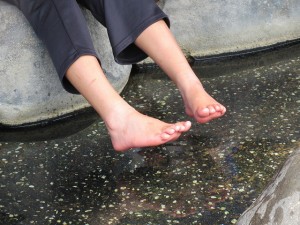 IMG_3264