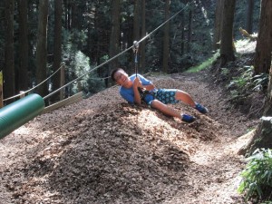 IMG_3398