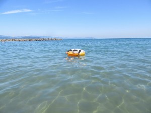 IMG_3444