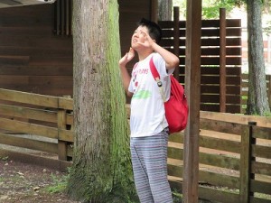 IMG_4376