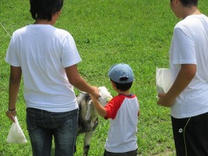 IMG_4466