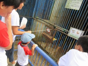 IMG_4474