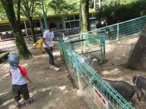 IMG_4500