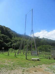 IMG_4607