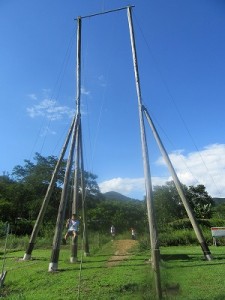 IMG_4619