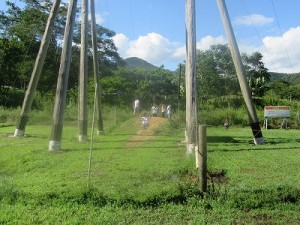 IMG_4632