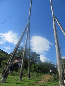 IMG_4646