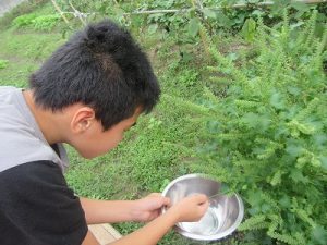 img_5990