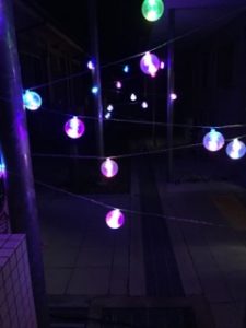 img_3525