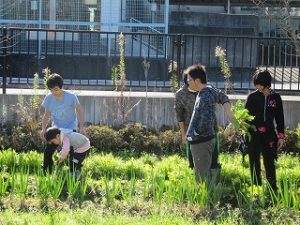 img_8420