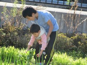 img_8422