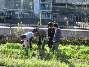 img_8424