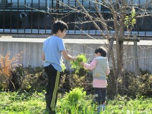 img_8437