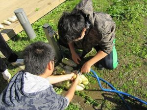 img_8443