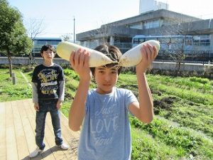 img_8445